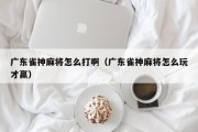 广东雀神麻将怎么打啊（广东雀神麻将怎么玩才赢）