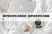 俄罗斯世界杯决赛用球（俄罗斯世界杯决赛圈）