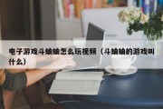 电子游戏斗蛐蛐怎么玩视频（斗蛐蛐的游戏叫什么）