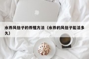 水养风信子的养殖方法（水养的风信子能活多久）