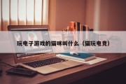 玩电子游戏的猫咪叫什么（猫玩电竞）